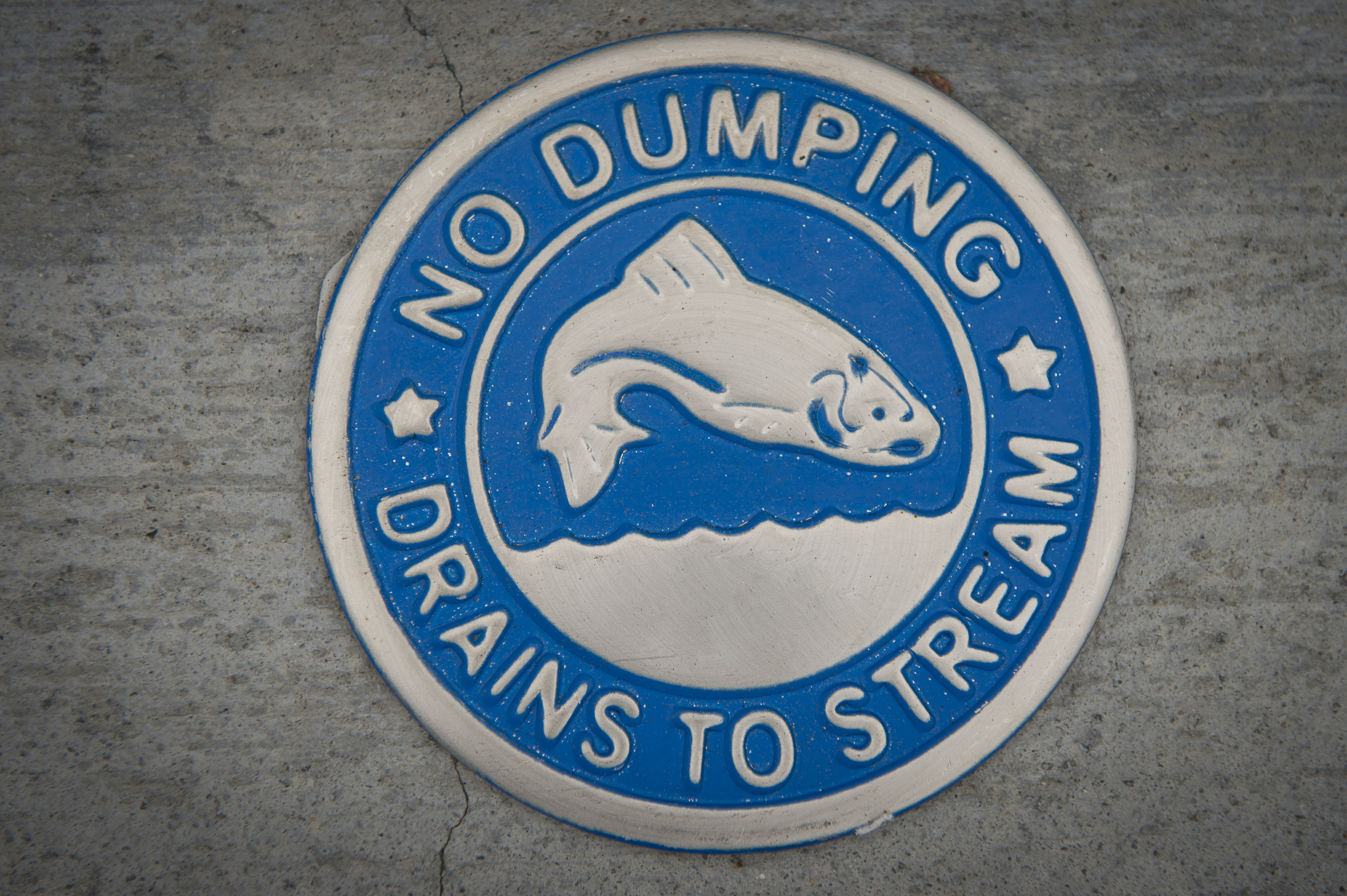No Dumping - Drains to Stream Picture